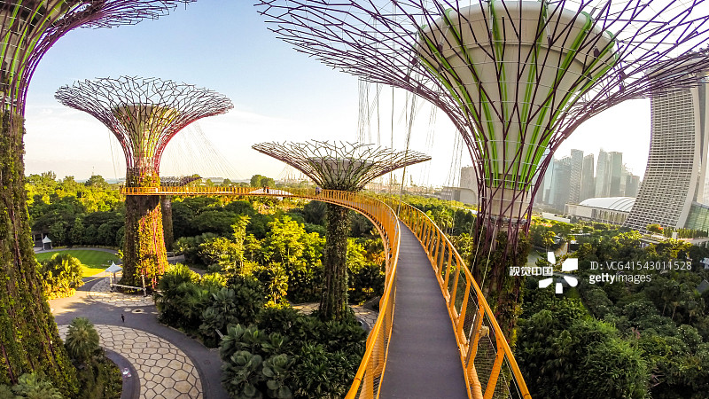 滨海湾花园的空中走廊图片素材