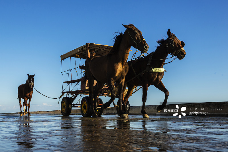 低角度的马拉车下的蓝天图片素材