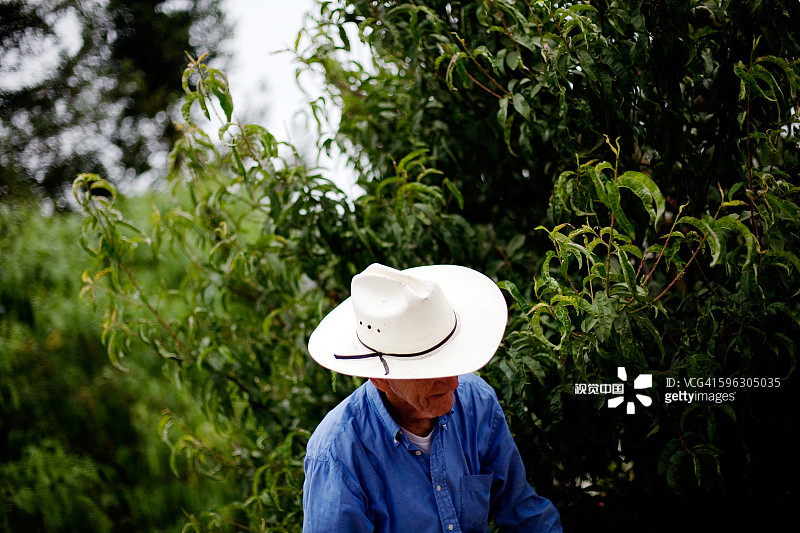 农场工人图片素材