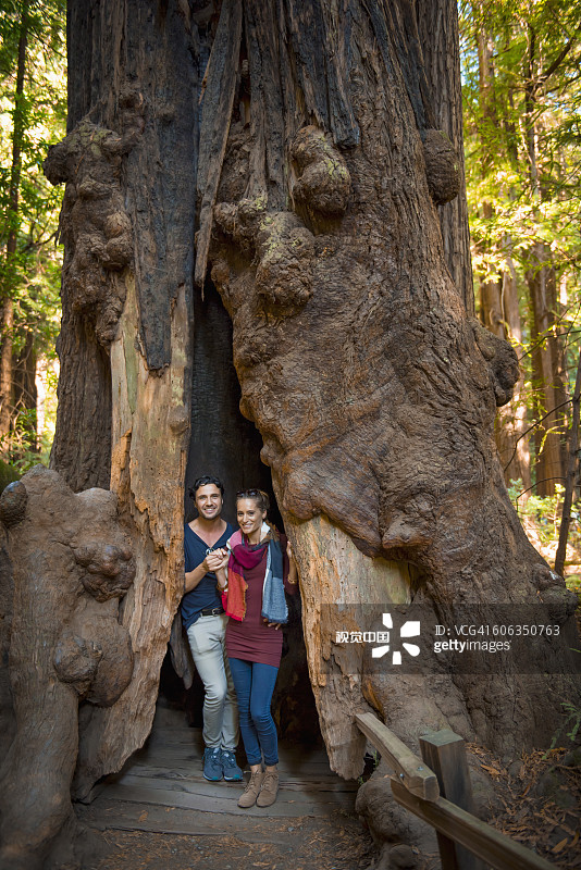 一对西班牙裔夫妇站在古树旁图片素材