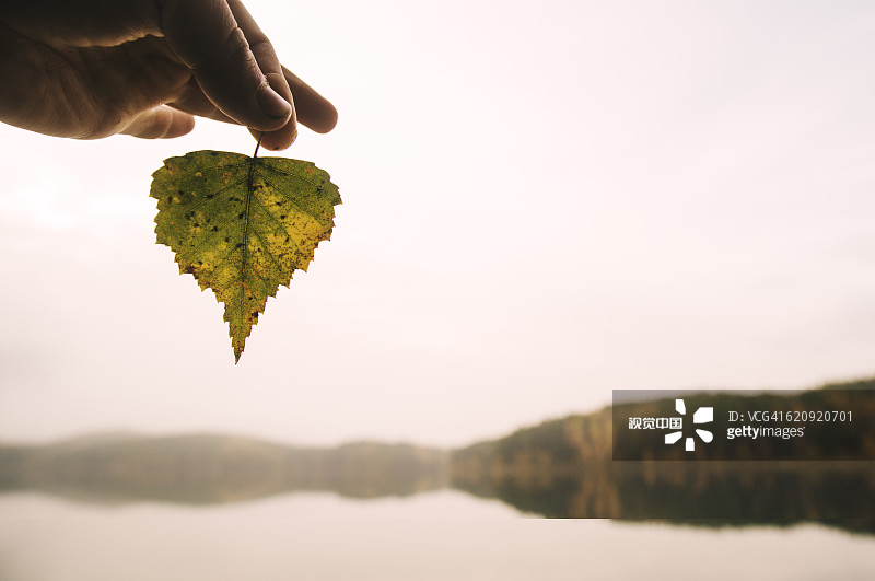 手握秋叶在遥远的湖图片素材