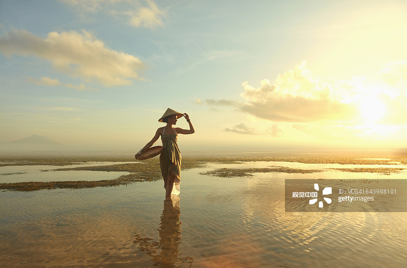 太平洋岛屿女性在稻田中行走图片素材