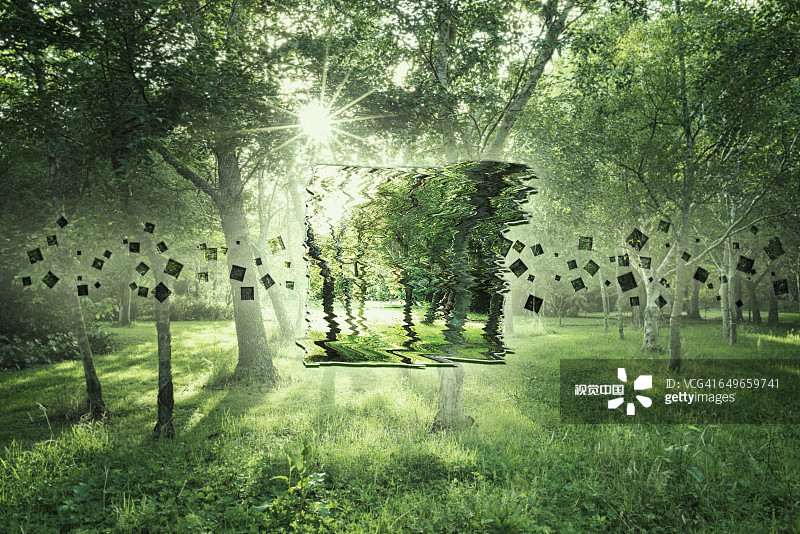 阳光森林中的树木像素化图像图片素材