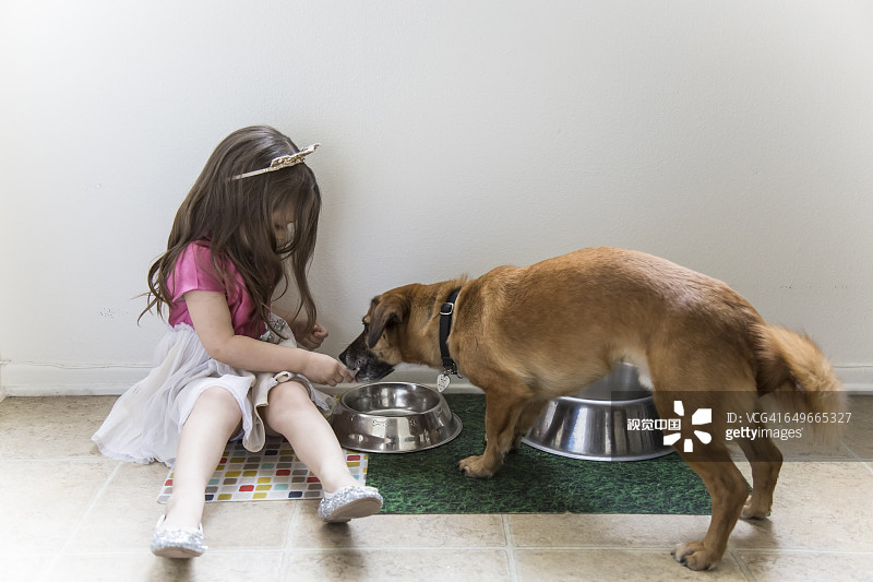 白人女孩在地板上喂狗图片素材