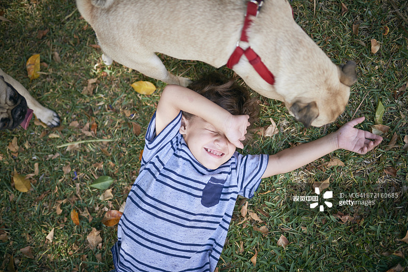 西班牙男孩遮住狗的脸图片素材