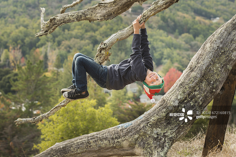 白人男孩倒挂在树枝上图片素材