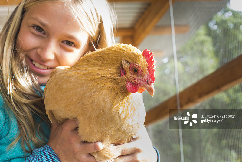 白人女孩在鸡舍里拥抱小鸡图片素材