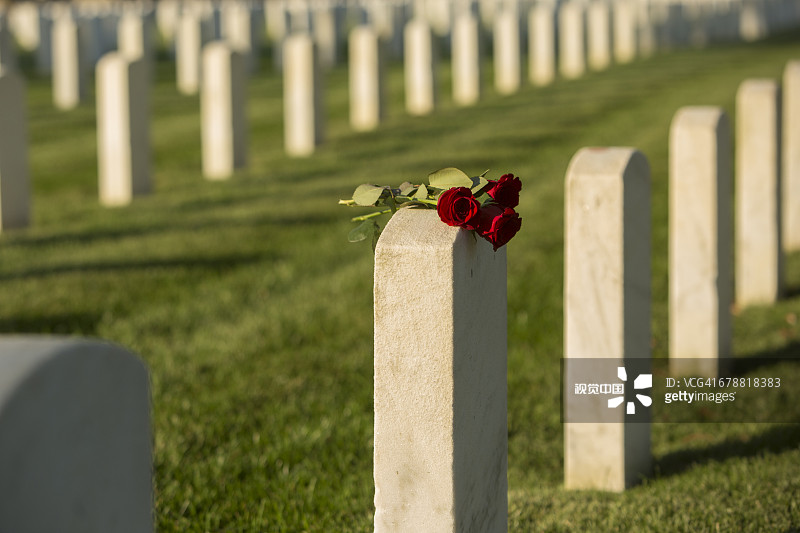 墓碑上的玫瑰图片素材