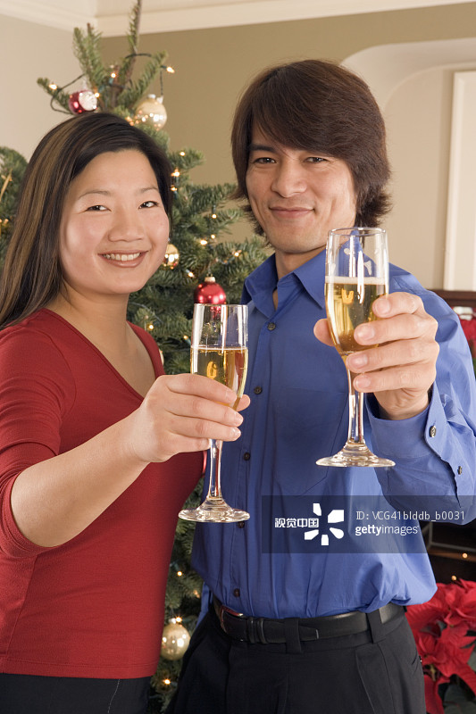 中年男人和年轻女人举着香槟酒杯的肖像图片素材