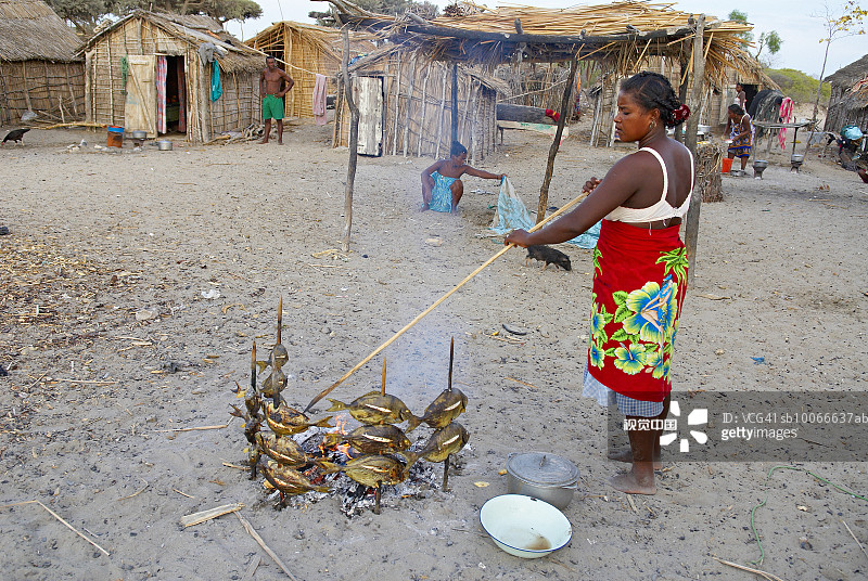 马达加斯加，伊法蒂，海滩上烹饪鲜鱼的女人图片素材