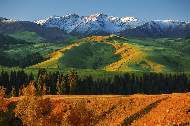 general-image 示例内容 6